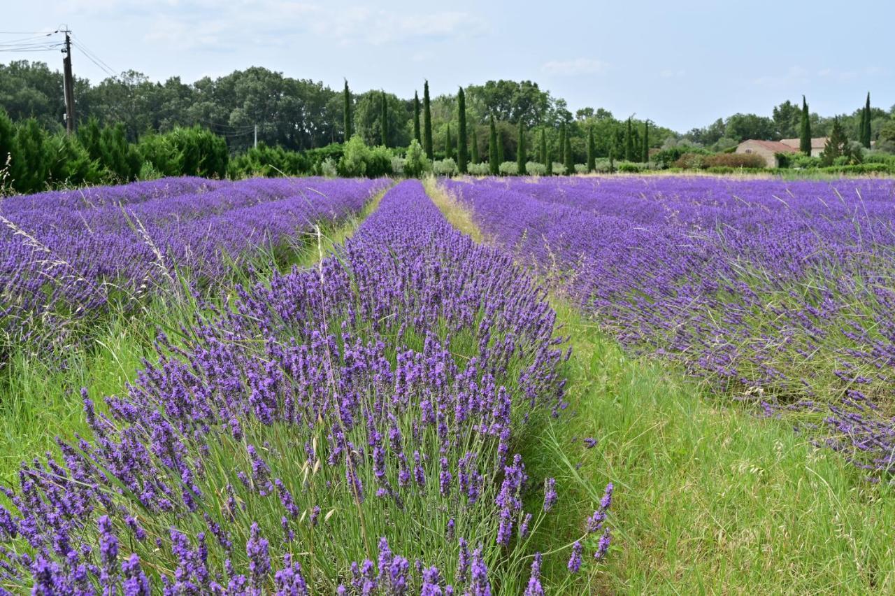 Flaux Gite De Charme "Puisneuf" Proche De Uzes מראה חיצוני תמונה